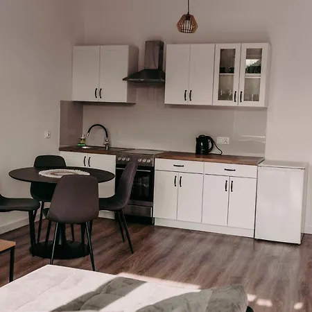 Apartment Chopin's *