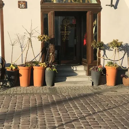 アパート Chopin's ビエルスコ・ビアバ