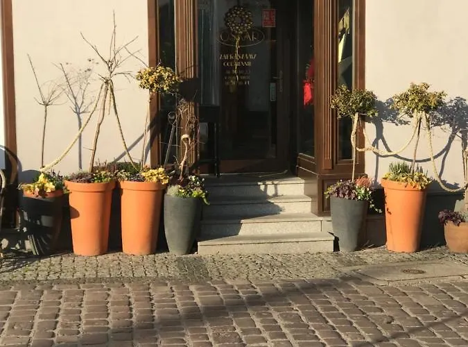 Apartment Chopin's Bielsko-Biala