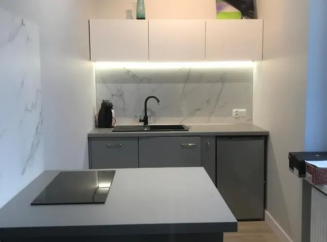 Chopin's Appartement